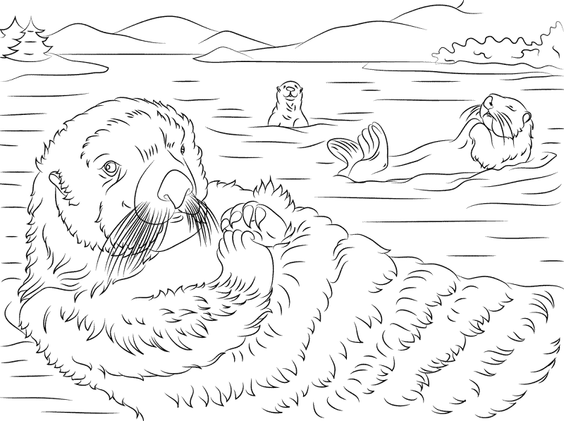 Cute Sea Otters Coloring Pages Md Coloring Page — Free Printable — free printable coloring page