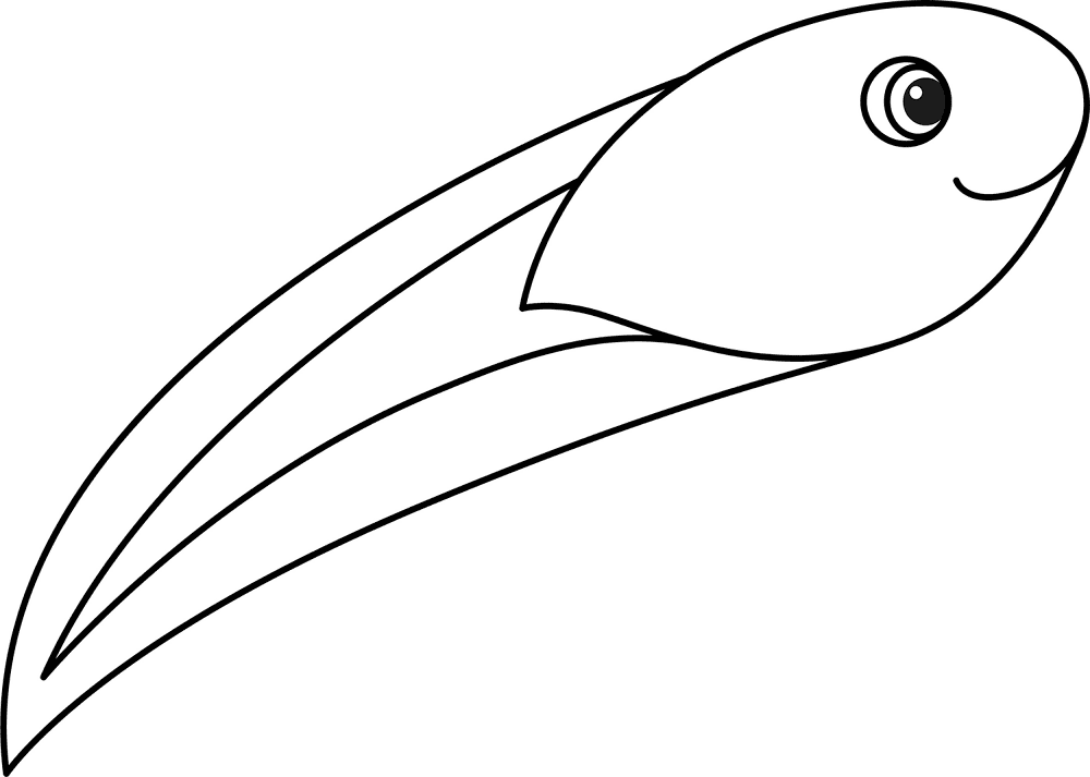 Cute Tadpole Coloring Page Md Coloring Page — Free Printable — free printable coloring page