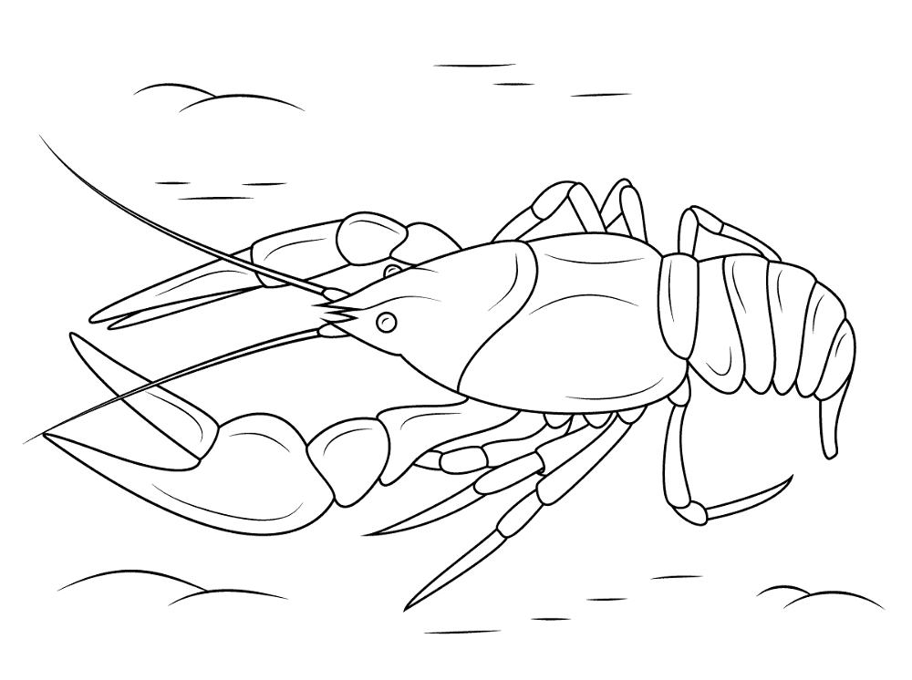 Danube Crayfish Coloring Pages Md Coloring Page — Free Printable — free printable coloring page
