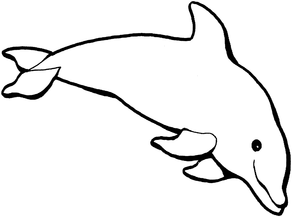 Dolphin 1 Coloring Page Md Coloring Page — Free Printable — free printable coloring page