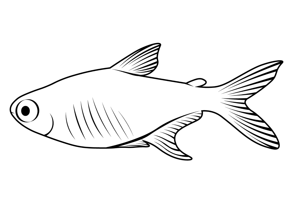 Ember Tetra Hyphessobrycon Amandae Coloring Page Md Coloring Page — Free Printable — free printable coloring page