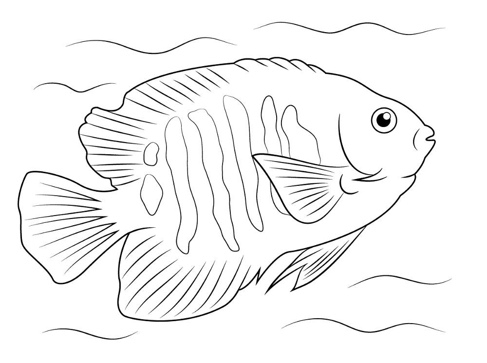 Flame Angelfish Coloring Page Md Coloring Page — Free Printable — free printable coloring page
