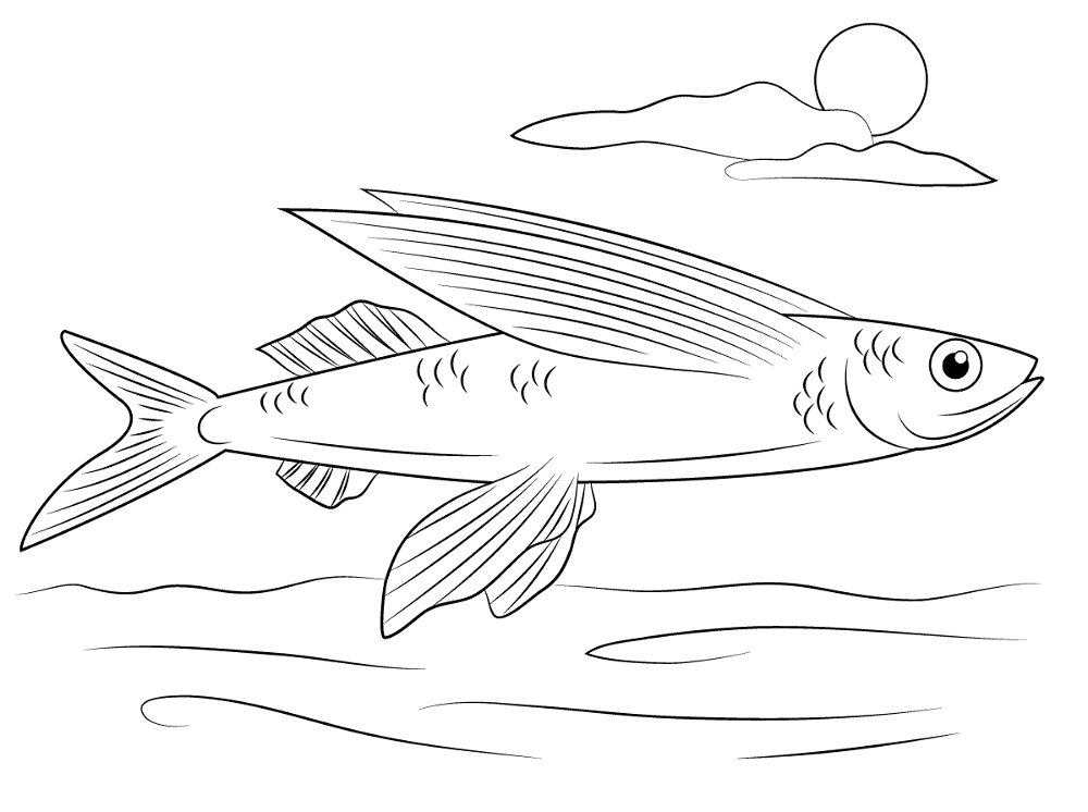 Flying Fish Coloring Pages Md Coloring Page — Free Printable — free printable coloring page