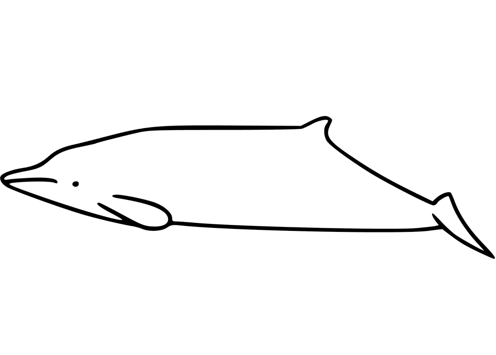 Gervais Beaked Whale Coloring Page Md Coloring Page — Free Printable — free printable coloring page