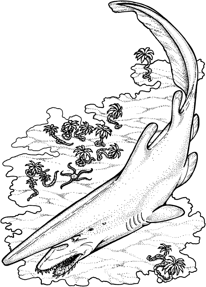Goblin Shark Coloring Page Md Coloring Page — Free Printable — free printable coloring page
