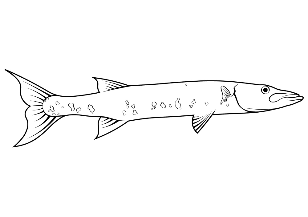Great Barracuda Barracuda Laban Coloring Page Md Coloring Page — Free Printable — free printable coloring page