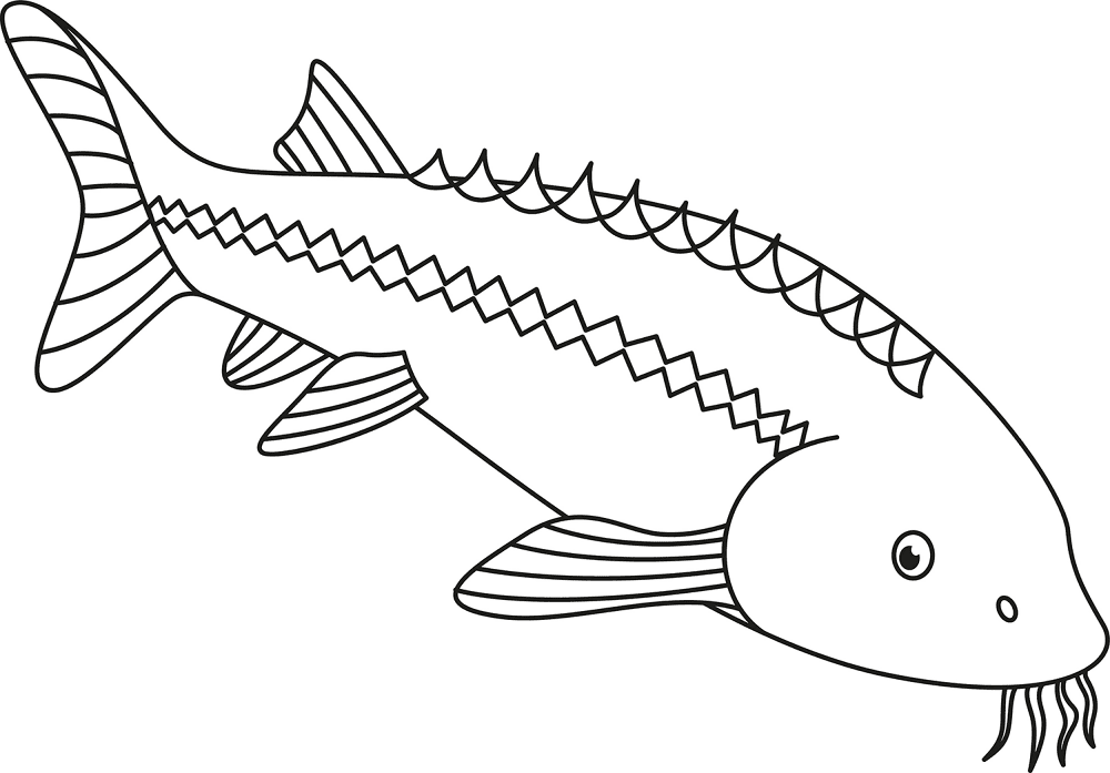 Great Sturgeon Coloring Page Md Coloring Page — Free Printable — free printable coloring page