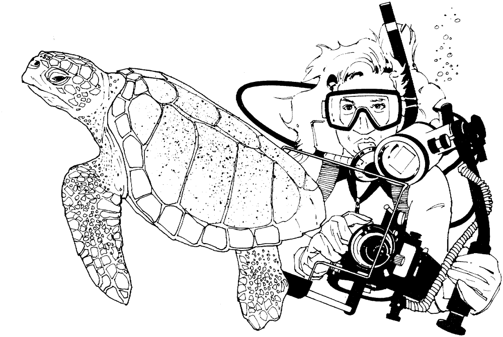 Green Sea Turtle And Scuba Diver Coloring Page Md Coloring Page — Free Printable — free printable coloring page