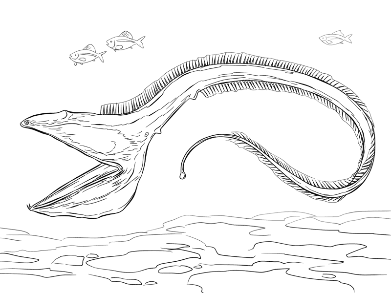 Gulper Eel Md Coloring Page — Free Printable — free printable coloring page