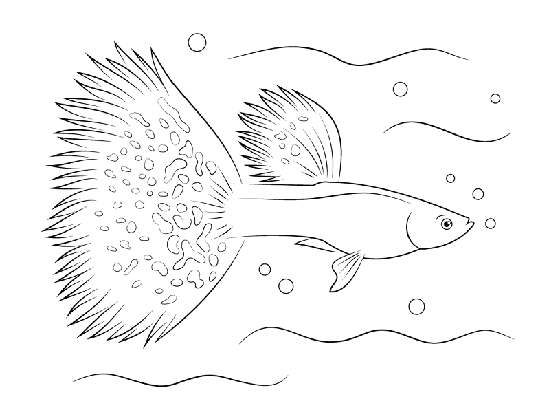 Guppy Coloring Pages Md Coloring Page — Free Printable — free printable coloring page