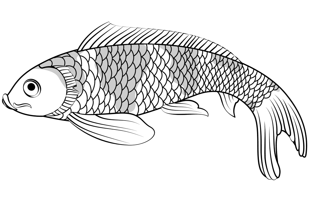 Koi Fish Coloring Page Md Coloring Page — Free Printable — free printable coloring page