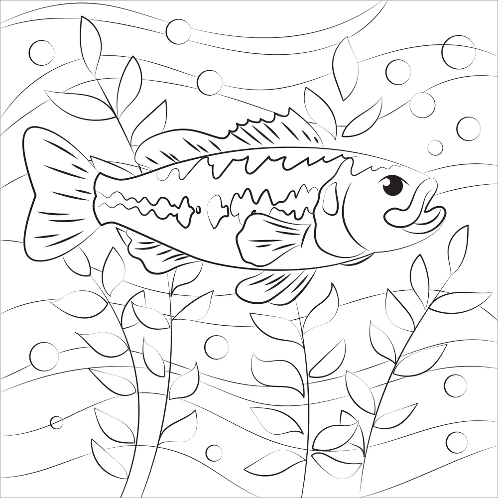 Largemouth Bass Coloring Page Md Coloring Page — Free Printable — free printable coloring page