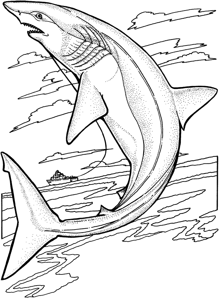 Lemon Shark Jumps Out Of The Water Coloring Page Md Coloring Page — Free Printable — free printable coloring page
