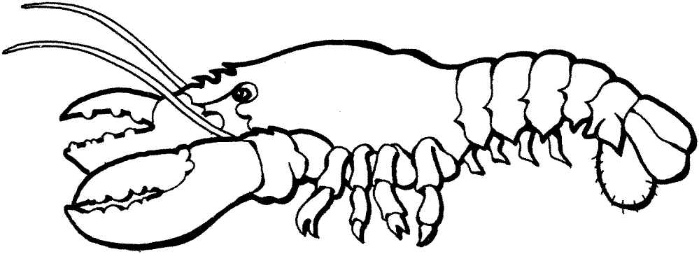 Lobster 1 Coloring Page Md Coloring Page — Free Printable — free printable coloring page