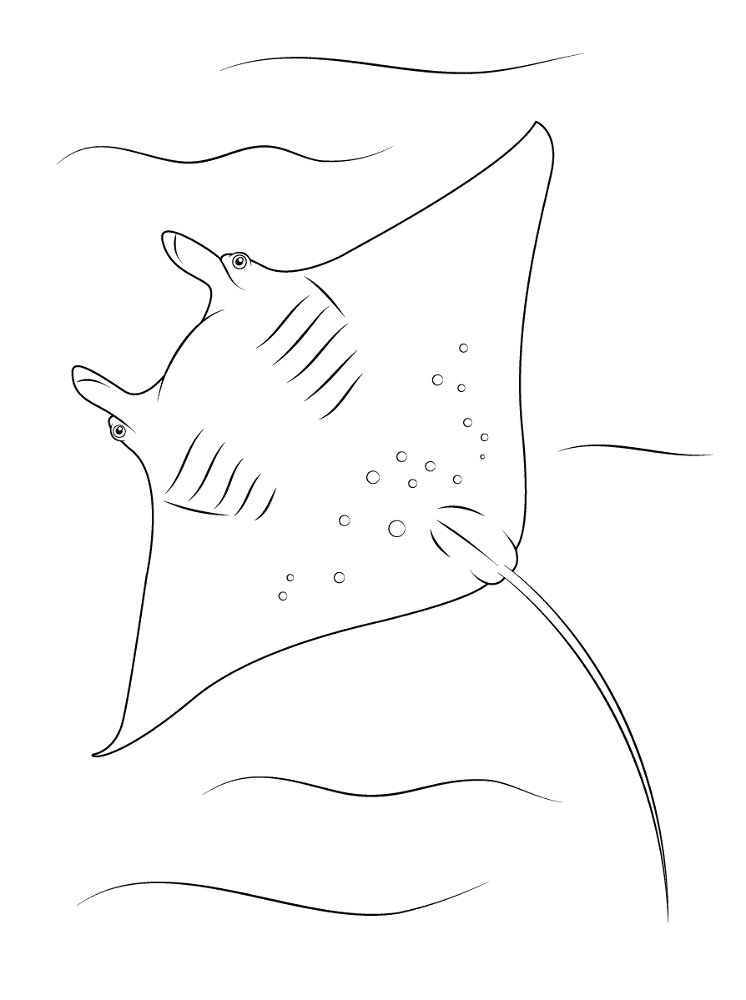 Manta Ray Underside Coloring Pages Md Coloring Page — Free Printable — free printable coloring page