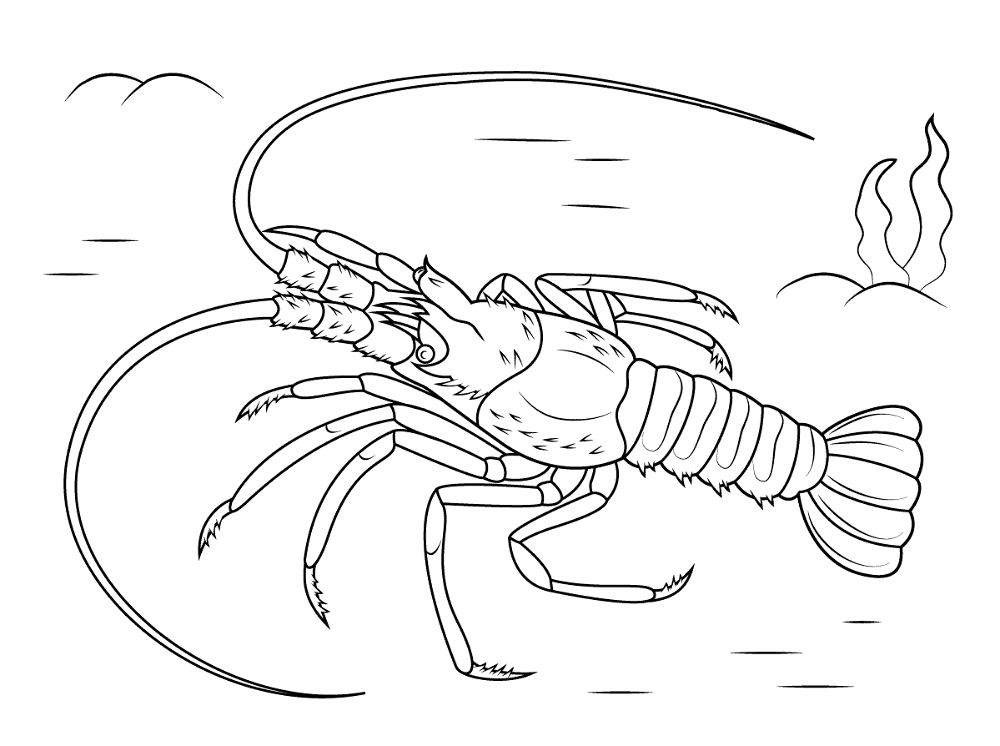 Mediterranean Lobster Coloring Pages Md Coloring Page — Free Printable — free printable coloring page