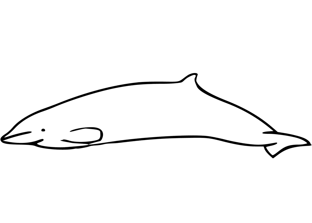 Mesoplodon Peruvianus Coloring Page Md Coloring Page — Free Printable — free printable coloring page