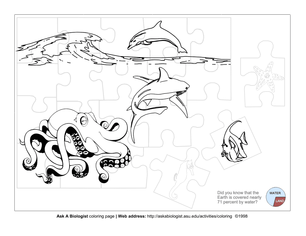 Ocean Animals Md Coloring Page — Free Printable — free printable coloring page