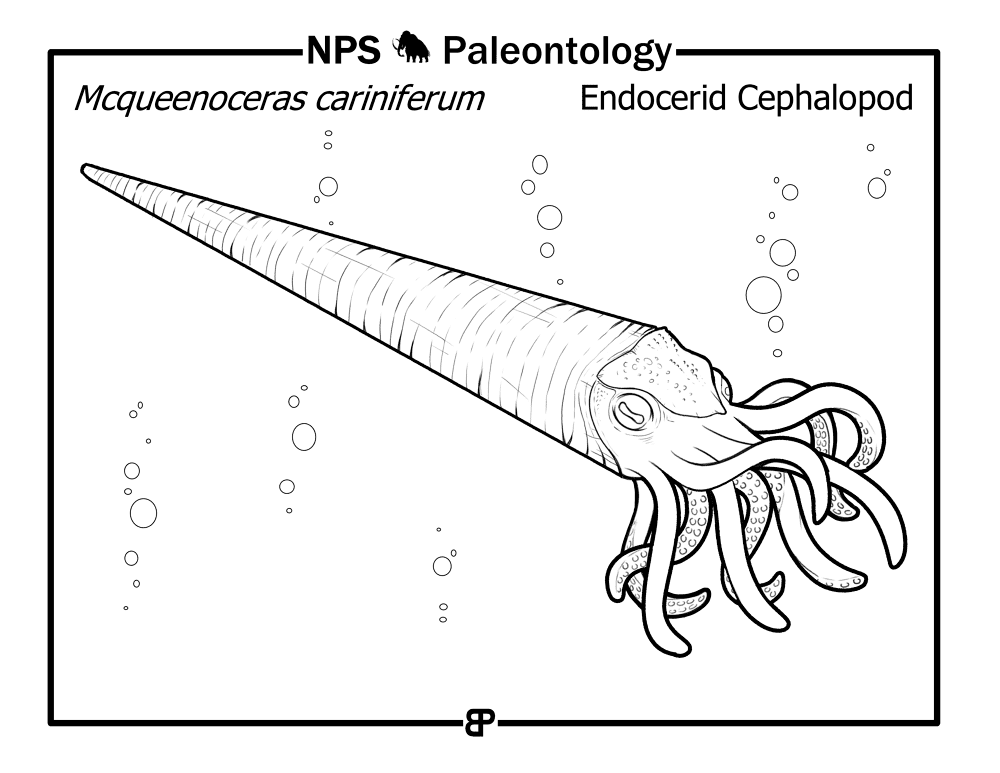 Prehistoric Endocerid Cephalopod Mcqueenoceras Cariniferum Coloring Page Md Coloring Page — Free Printable — free printable coloring page