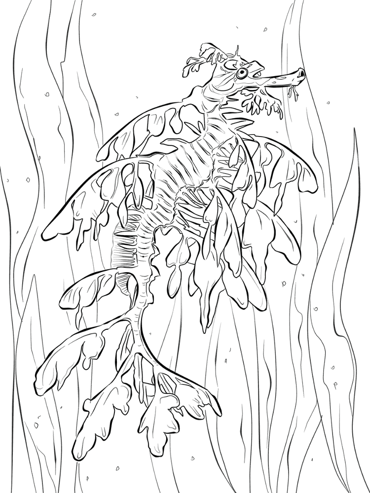 Realistic Leafy Seadragon Coloring Pages Md Coloring Page — Free Printable — free printable coloring page
