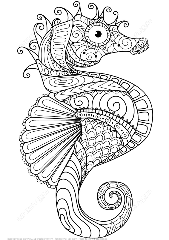 Sea Horse Zentangle Coloring Page Md Coloring Page — Free Printable — free printable coloring page