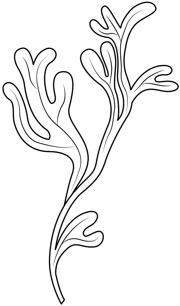 Seaweed Coloring Page Md Coloring Page — Free Printable — free printable coloring page