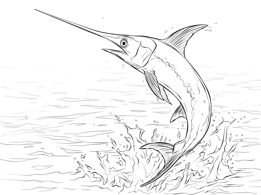 Swordfish Jumping Out Of Water Coloring Pages Md Coloring Page — Free Printable — free printable coloring page