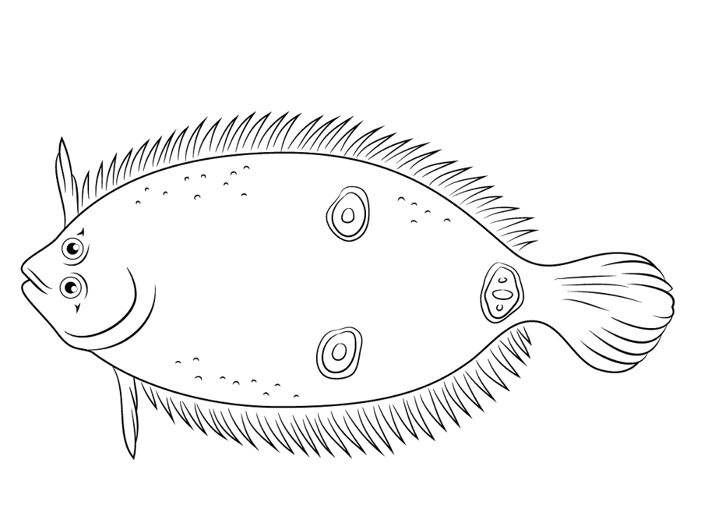 Three Eye Flounder Md Coloring Page — Free Printable — free printable coloring page