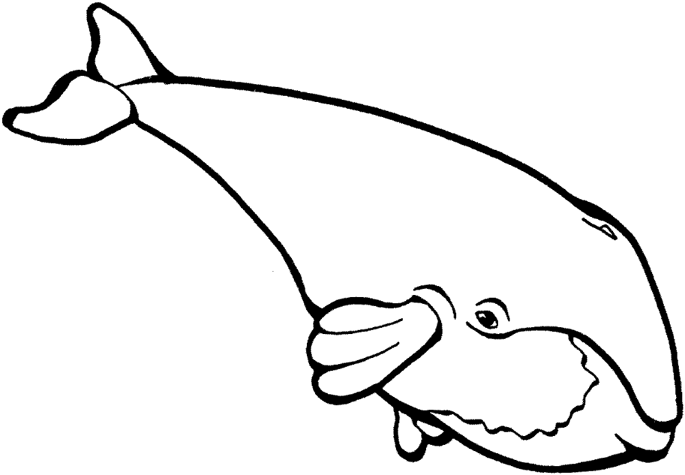 Whale 4 Coloring Page Md Coloring Page — Free Printable — free printable coloring page