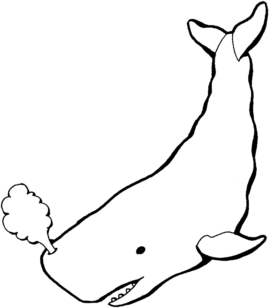 Whale 5 Coloring Page Md Coloring Page — Free Printable — free printable coloring page