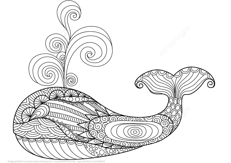 Whale Zentangle Coloring Page Md Coloring Page — Free Printable — free printable coloring page
