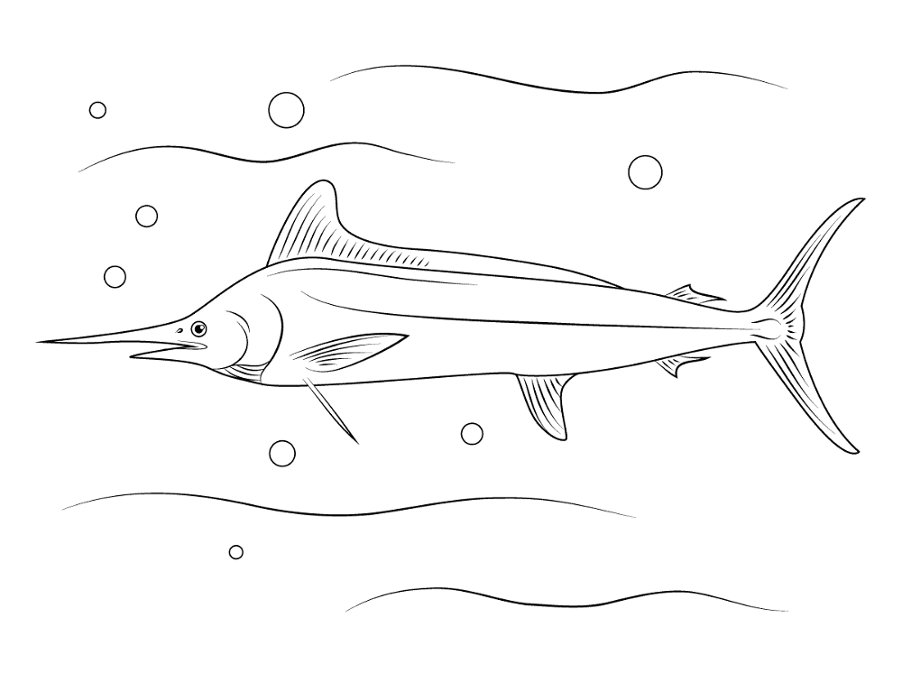 White Marlin Coloring Pages Md Coloring Page — Free Printable — free printable coloring page
