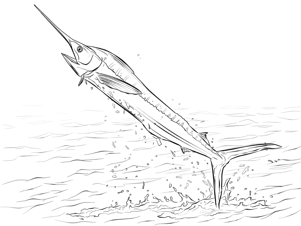 White Marlin Jumping Out Of Water Coloring Pages Md Coloring Page — Free Printable — free printable coloring page