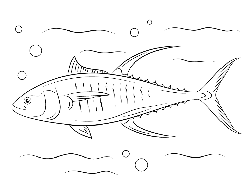 Yellowfin Tuna Md Coloring Page — Free Printable — free printable coloring page