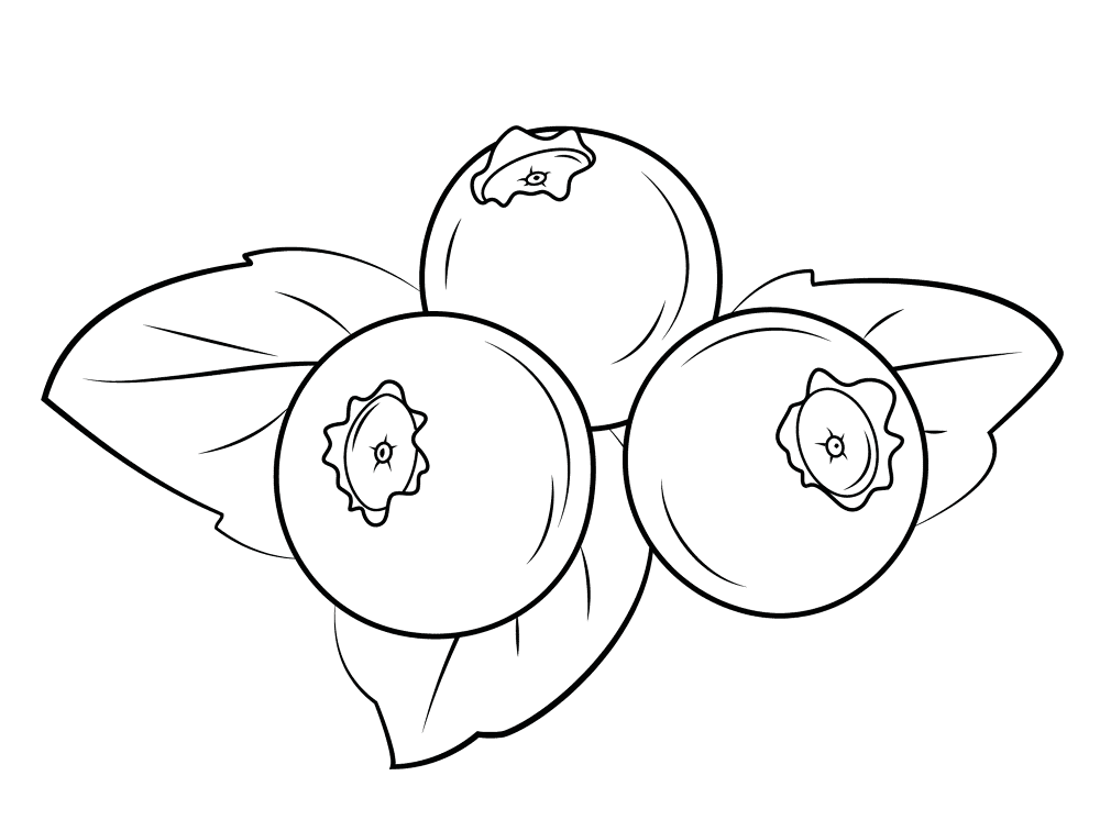Blueberry 2 Coloring Page Md Coloring Page — Free Printable — free printable coloring page