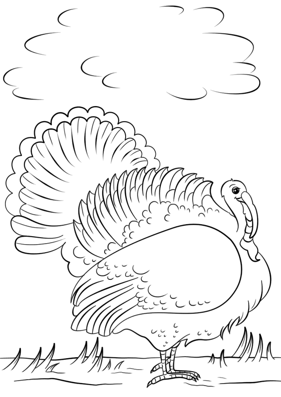 Cartoon Turkey Coloring Page Md Coloring Page — Free Printable — free printable coloring page
