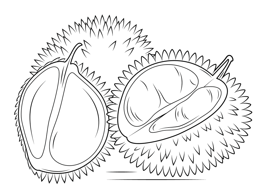 Durian 3 Coloring Page Md Coloring Page — Free Printable — free printable coloring page