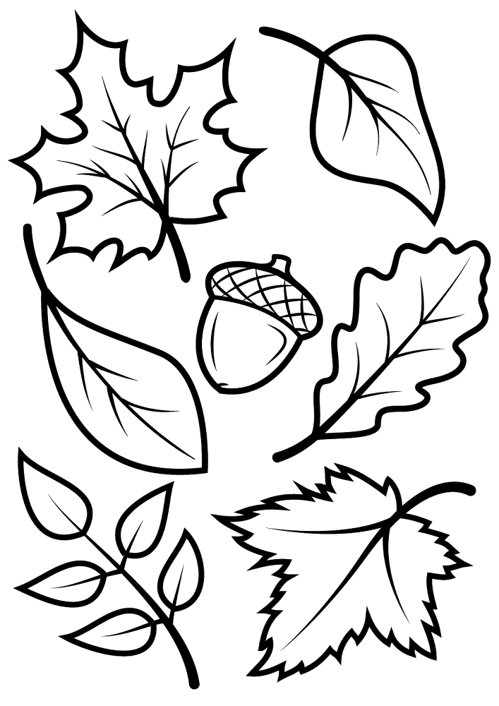 Fall Leaves Coloring Page Md Coloring Page — Free Printable — free printable coloring page