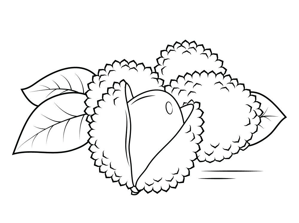 Lechee 1 Coloring Page Md Coloring Page — Free Printable — free printable coloring page