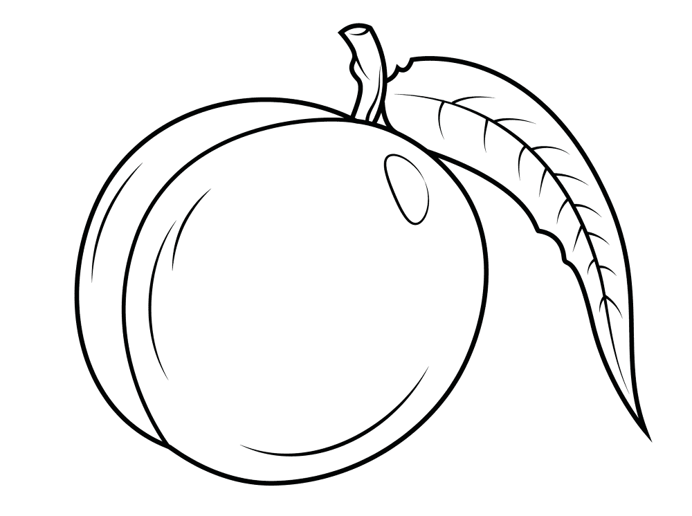 Nectarine 3 Coloring Page Md Coloring Page — Free Printable — free printable coloring page