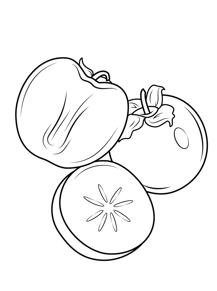 Persimon 3 Coloring Page Md Coloring Page — Free Printable — free printable coloring page