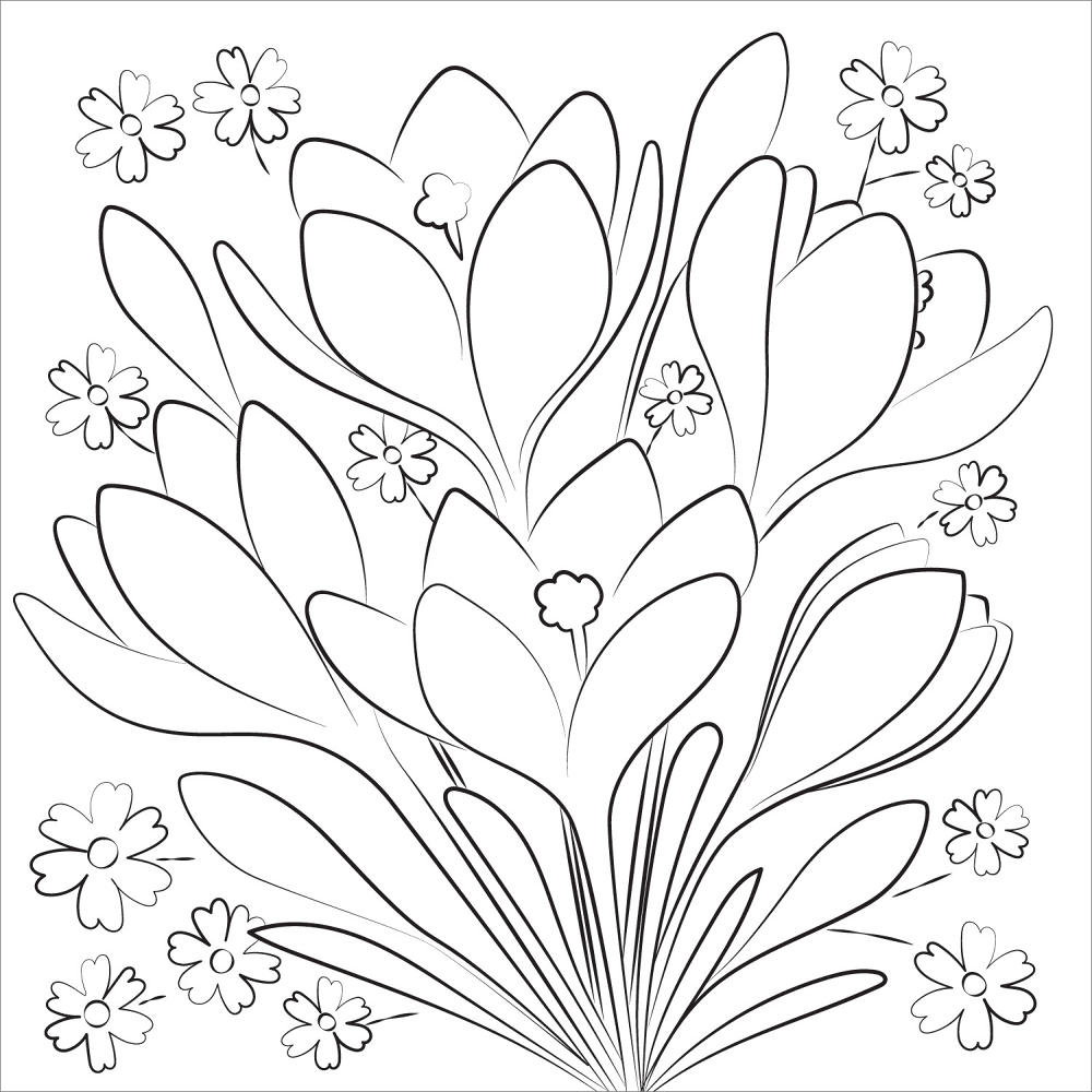 Spring Flower Coloring Page Md Coloring Page — Free Printable — free printable coloring page