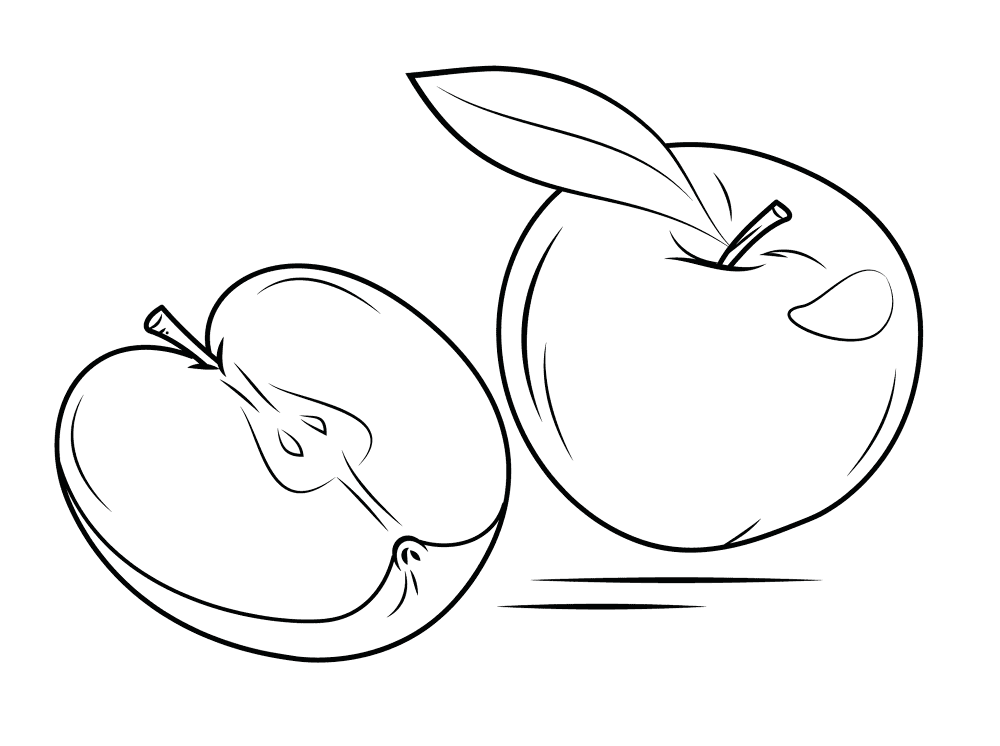 Whole Apple And Cross Section Coloring Page Md Coloring Page — Free Printable — free printable coloring page
