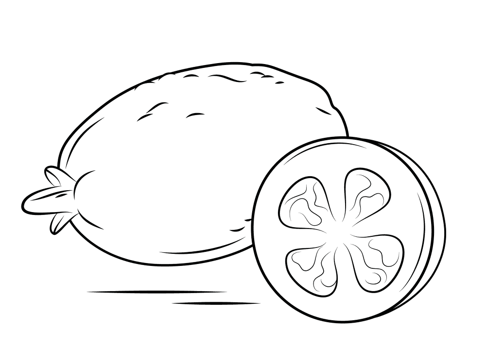 Whole Guava And Cross Section Coloring Page Md Coloring Page — Free Printable — free printable coloring page