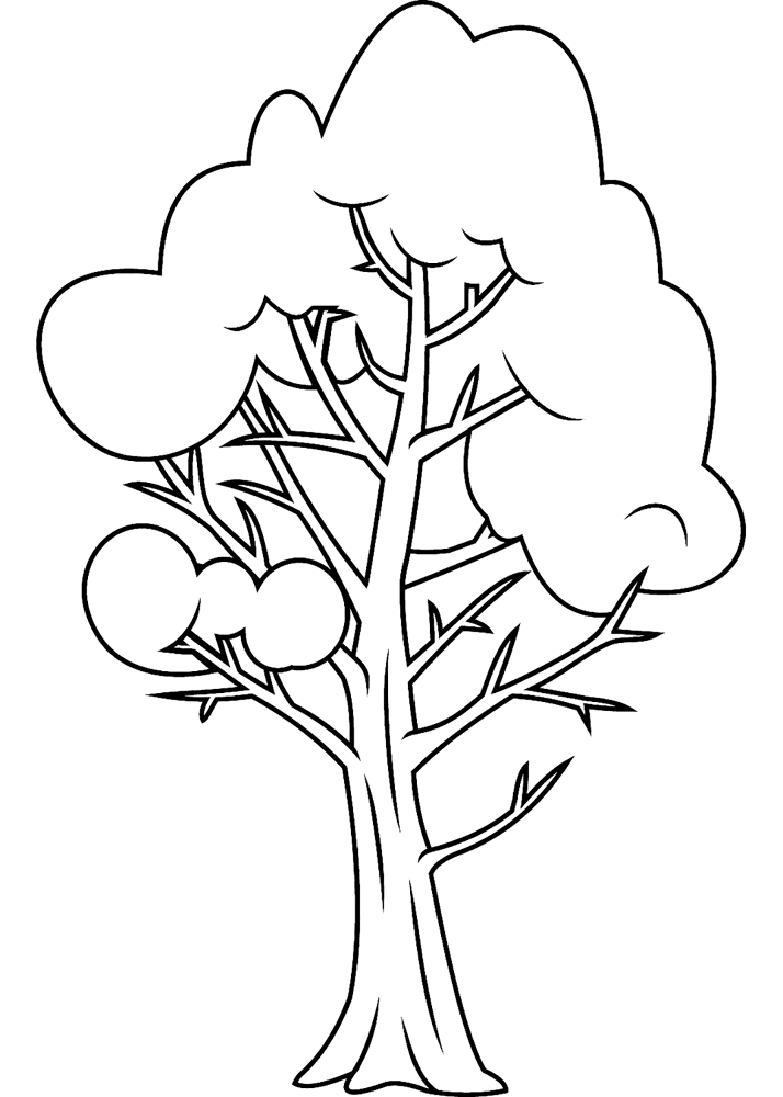 Winter Tree 4 Coloring Page Md Coloring Page — Free Printable — free printable coloring page