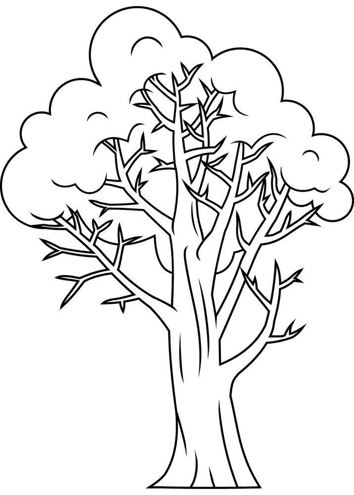 Winter Tree 5 Coloring Page Md Coloring Page — Free Printable — free printable coloring page