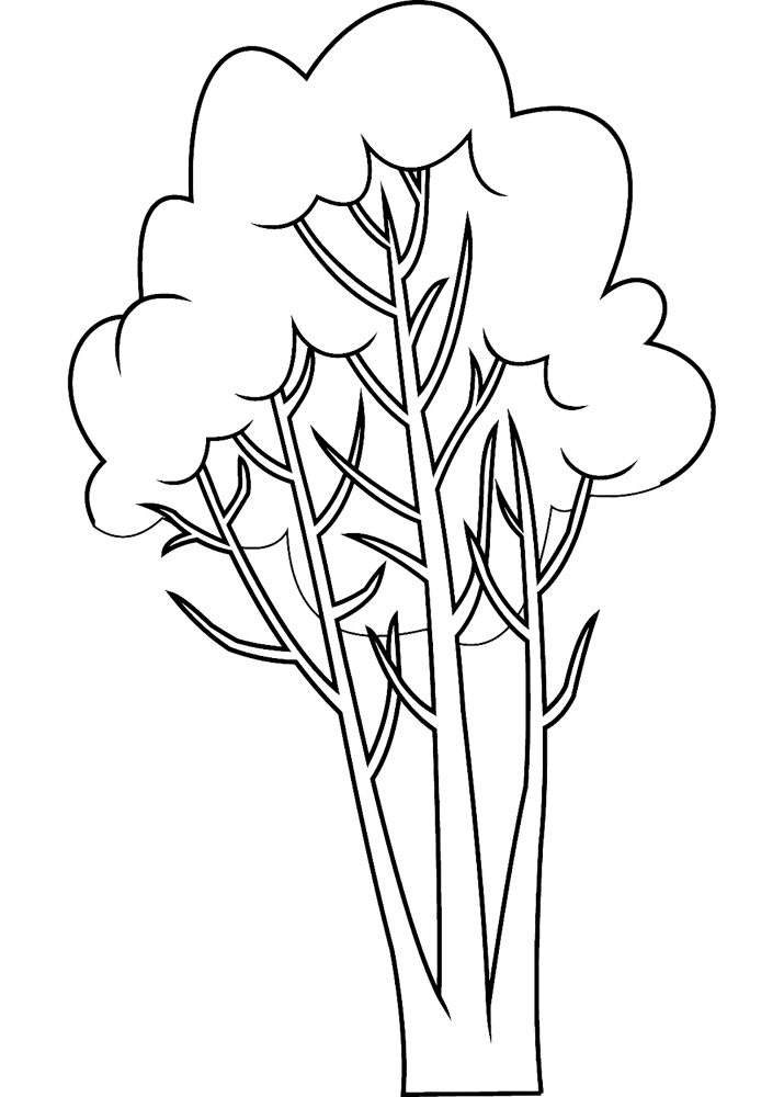 Winter Tree 6 Coloring Page Md Coloring Page — Free Printable — free printable coloring page