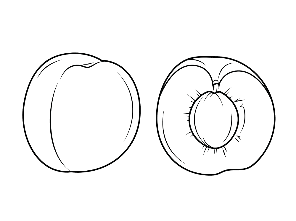 Apricot 3 Coloring Page Md Coloring Page — Free Printable — free printable coloring page