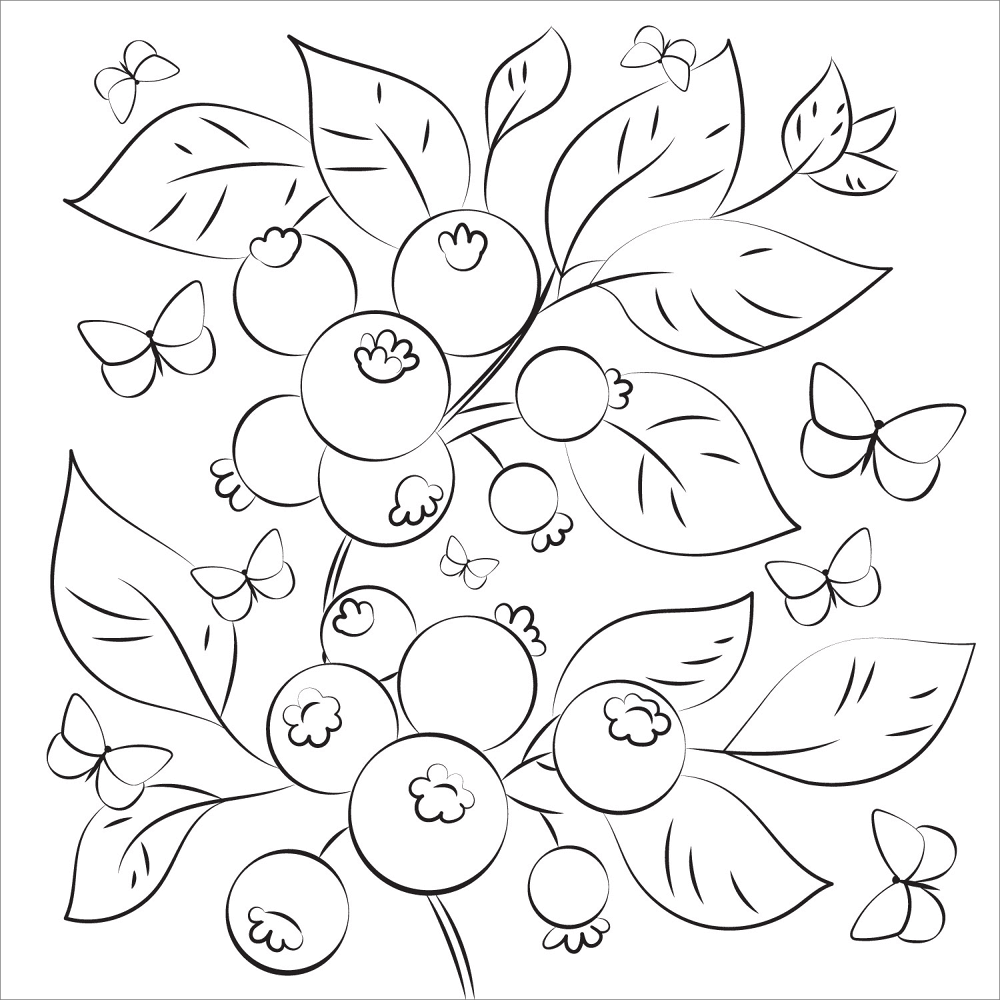 Blueberry Coloring Page Md Coloring Page — Free Printable — free printable coloring page