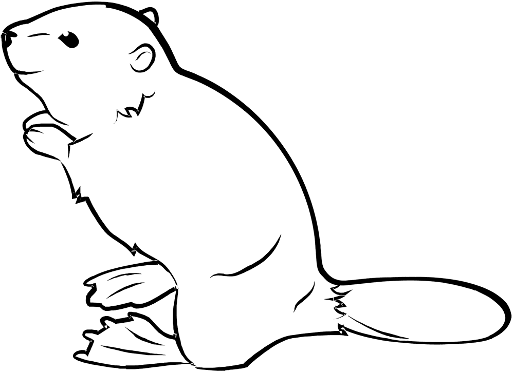 Beaver Coloring Page Md Coloring Page — Free Printable — free printable coloring page